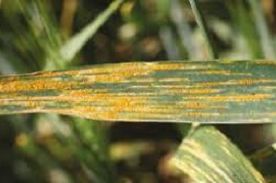 product-276-183 product-276-183