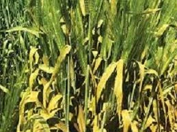 product-259-194 product-259-194