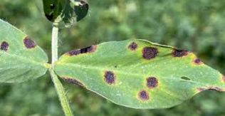 product-316-163 product-316-163